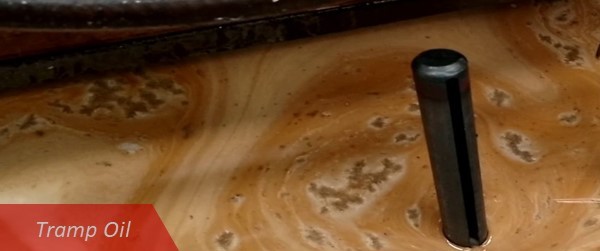 tramp oil metalworking fluids