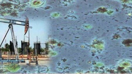 oilfield-bacteria oilfield bacteria