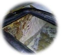 masalah tramp oil