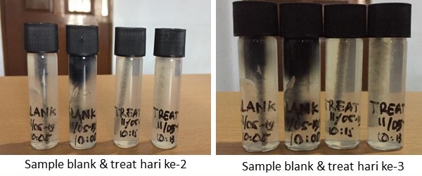 masalah biodiesel problems