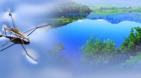 fungsi-coolant-dan-fungsi-surfaktan fungsi coolant dan fungsi surfaktan