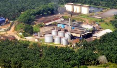 33f1-industri-kelapa-sawit industri kelapa sawit