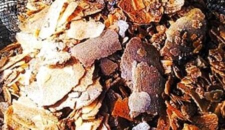 Picture1-1 Picture1-1