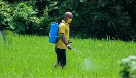 38f1-keunggulan-herbisida-sistemik herbisida sistemik