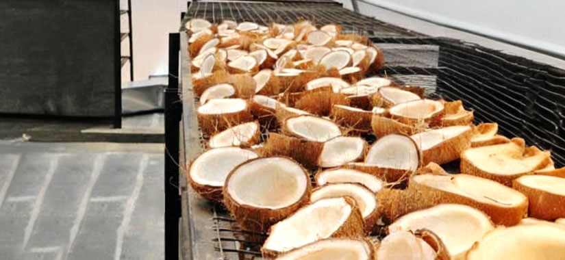 dryer-desiccated-coconut dryer desiccated coconut