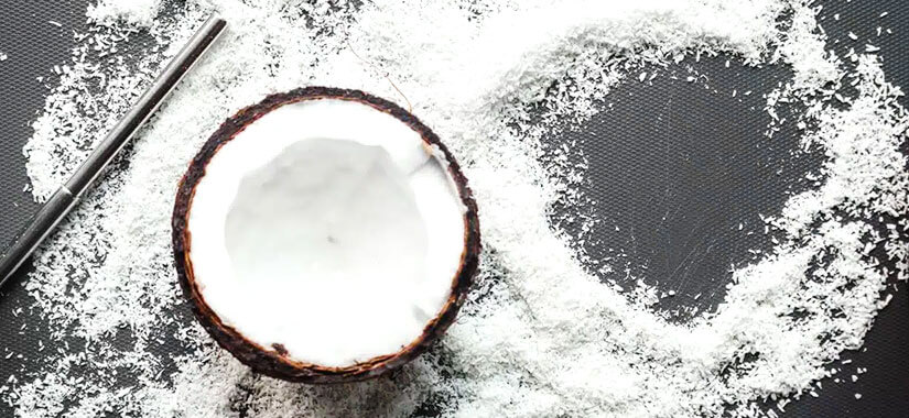 hammer-mill-desiccated-coconut hammer mill desiccated coconut