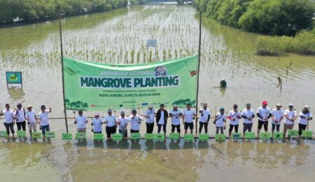 889 Mangrove Planting Eonchemicals Mangrove Planting Eonchemicals
