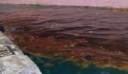 Solusi Tumpahan Minyak di Laut Solusi Tumpahan Minyak di Laut